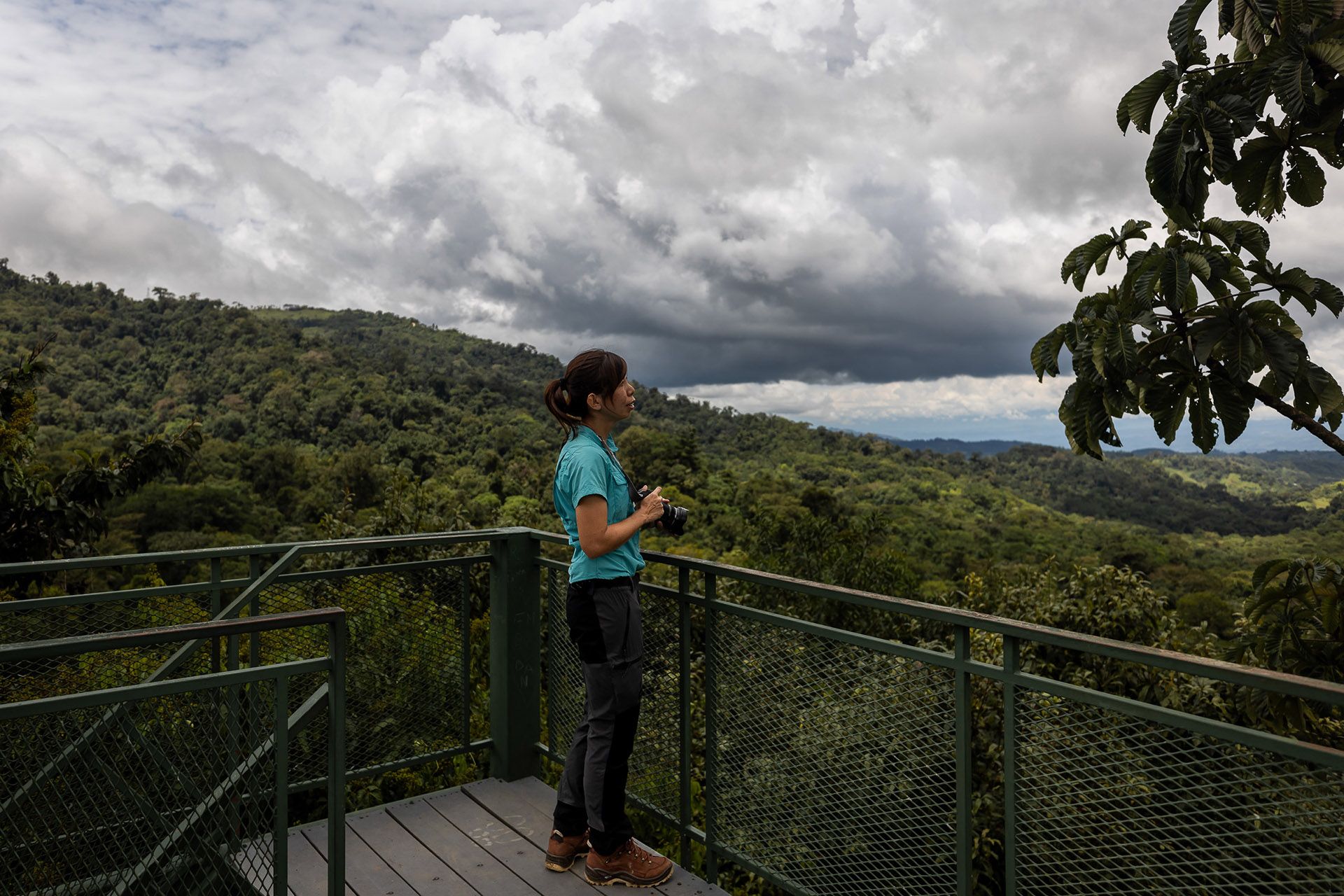 Ms Xue looking out from an observation tower in Las Cruces Research Station and the Wilson Botanical Garden, Costa Rica.